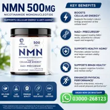 Besenify Pure NMN 500mg Capsules In Pakistan