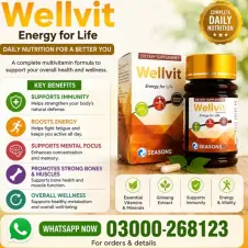 Wellvit Tablets in Pakistan
